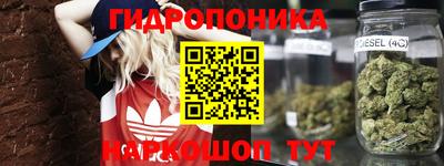 ГАЛЛЮЦИНОГЕННЫЕ ГРИБЫ Абакан